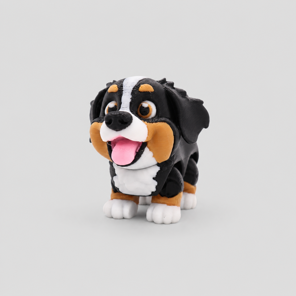 Bernese Mountain Dog