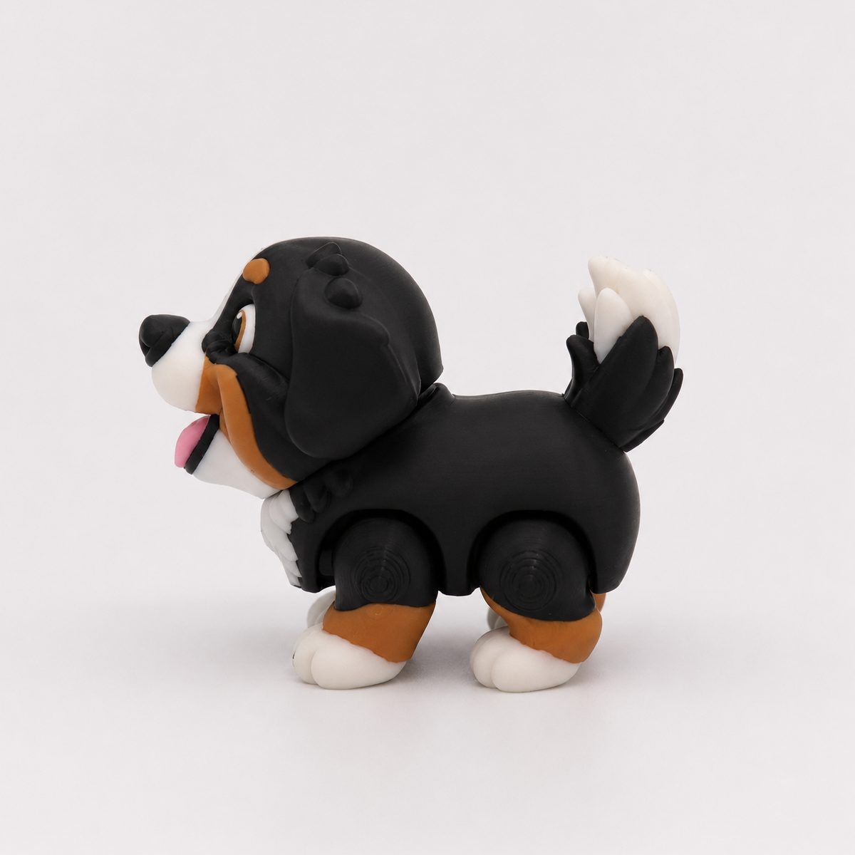 Bernese Mountain Dog