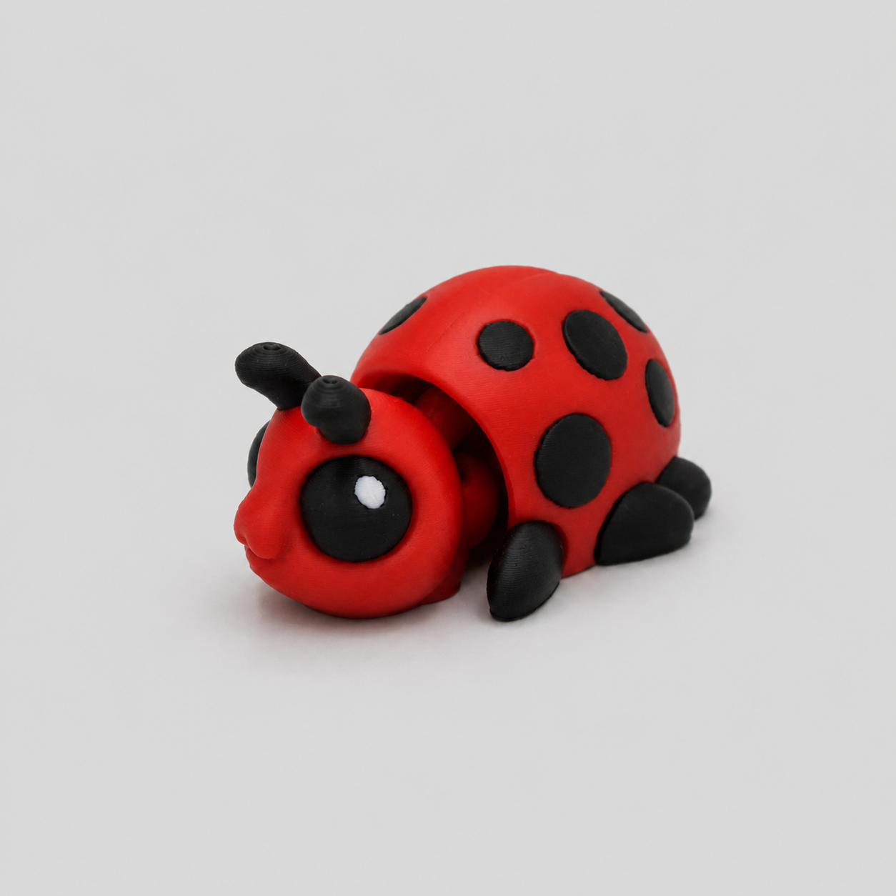 Ladybug