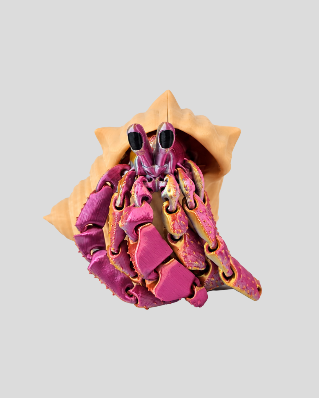Hermit Crab