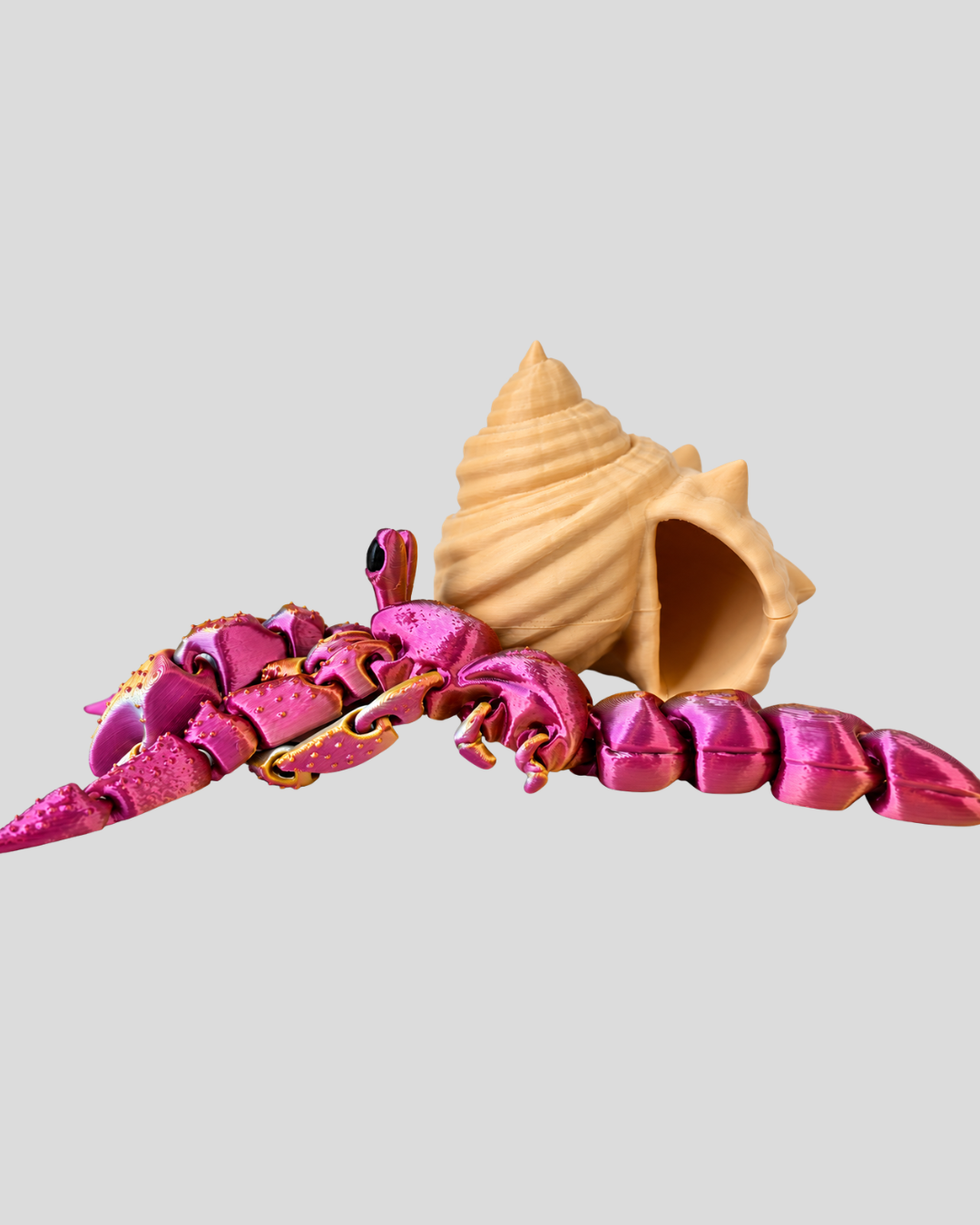 Hermit Crab