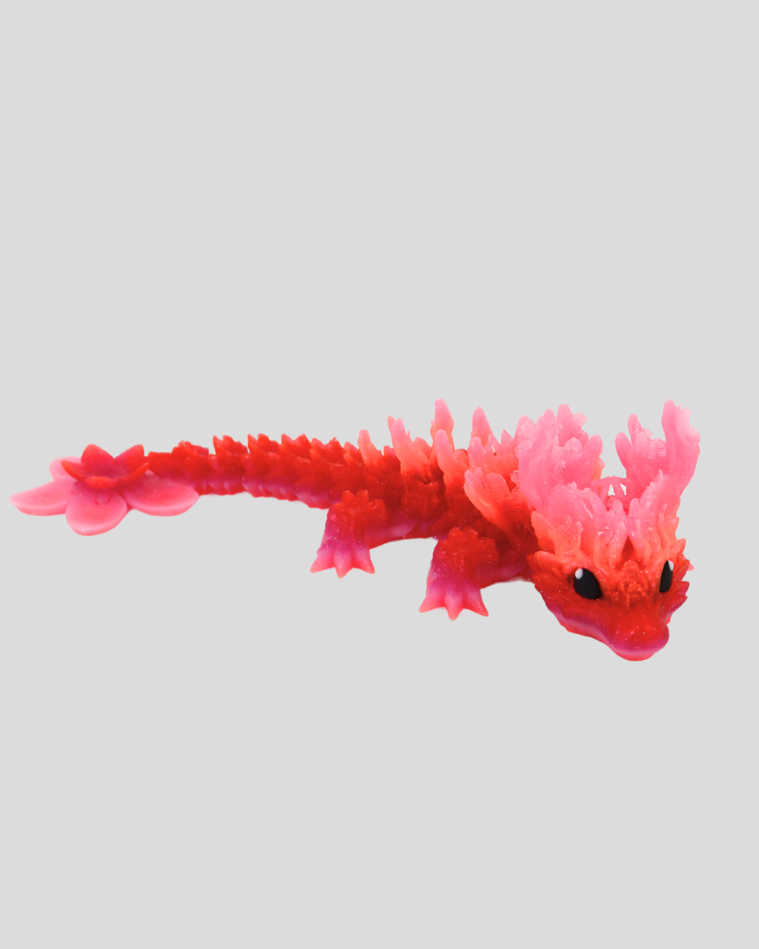 Baby Cherry Blossom Dragon
