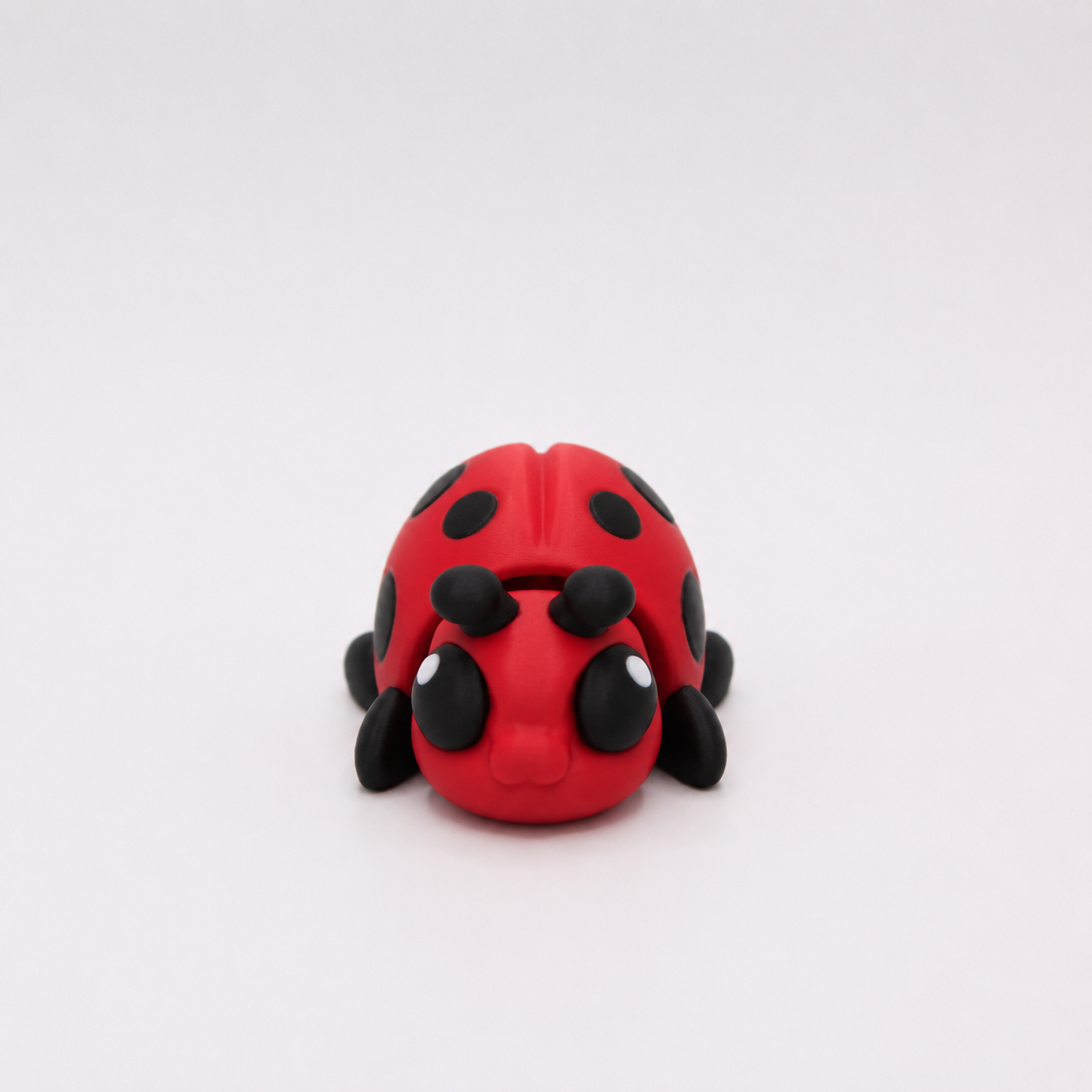 Ladybug