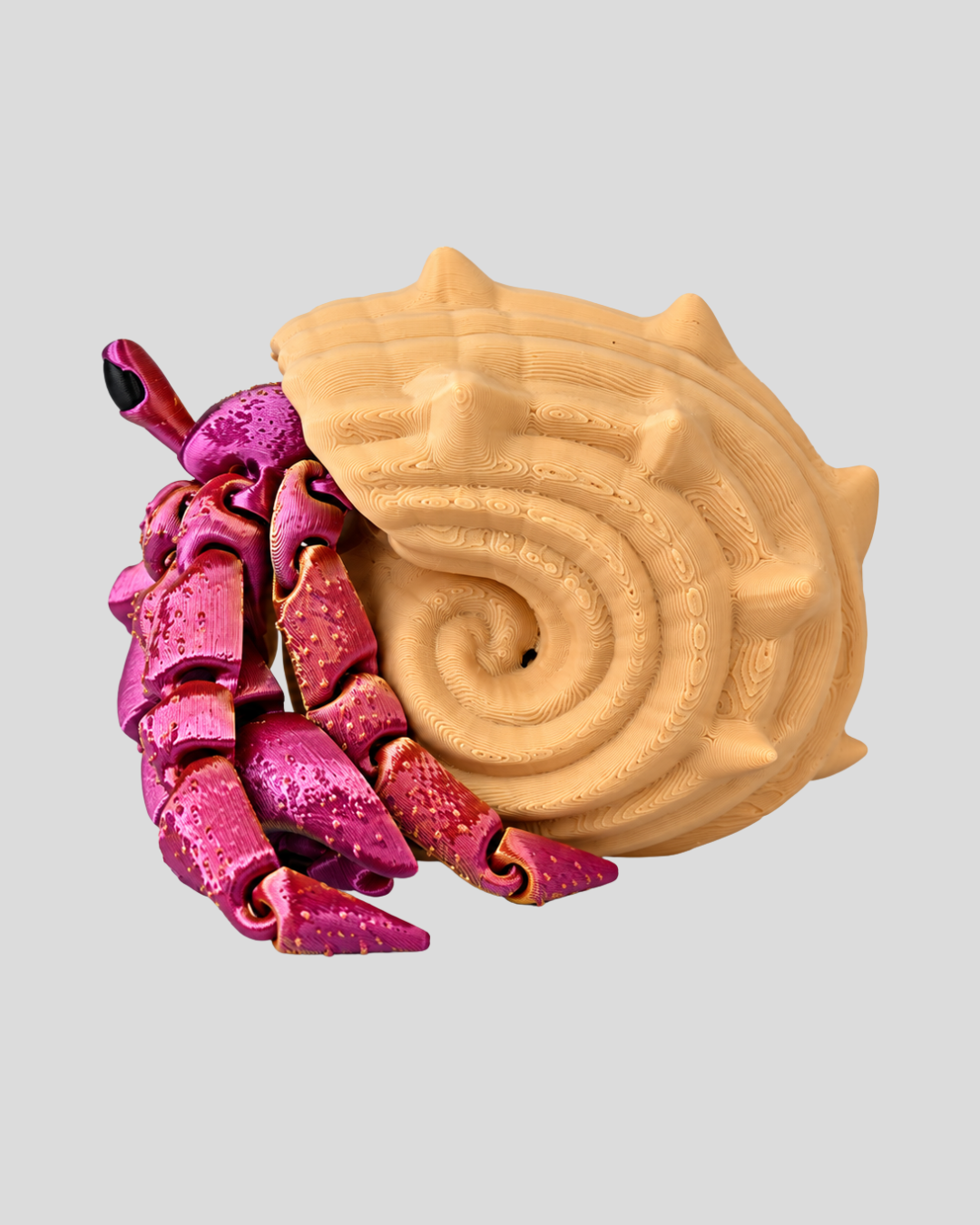 Hermit Crab
