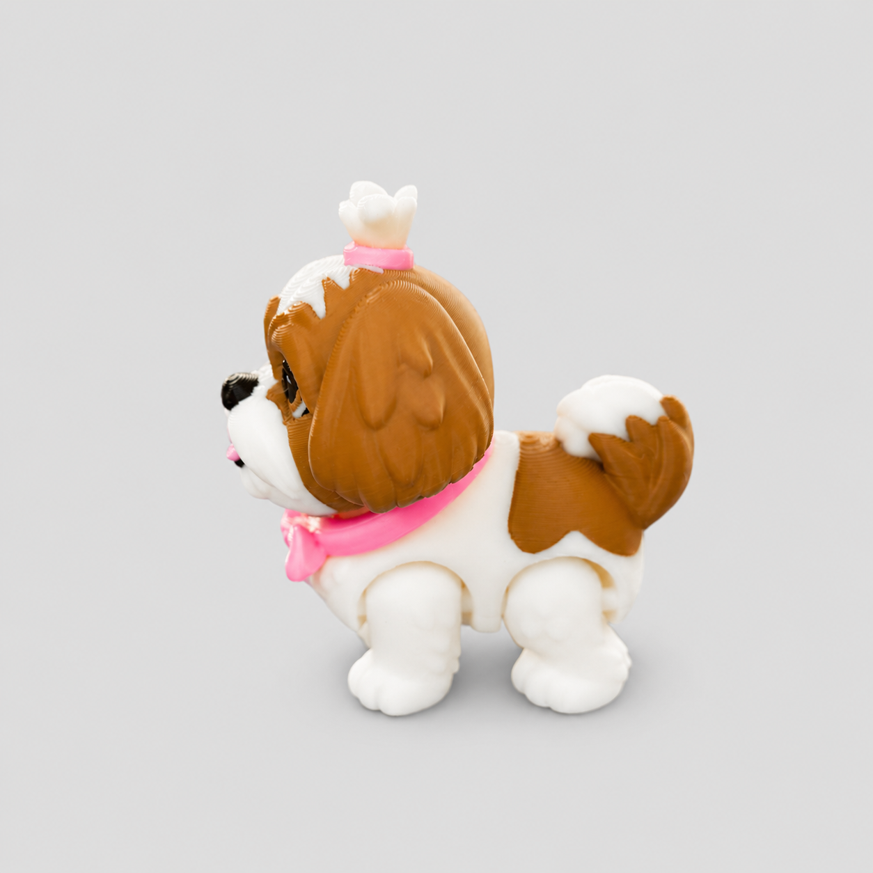 Shih Tzu Pup