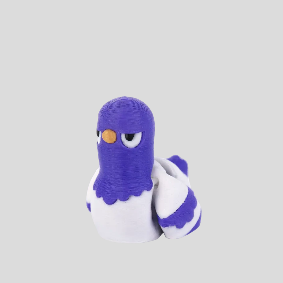 Pigeon